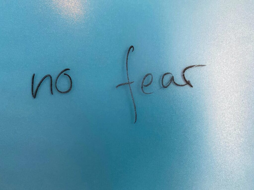 Conquering Fear in Board Dynamics
